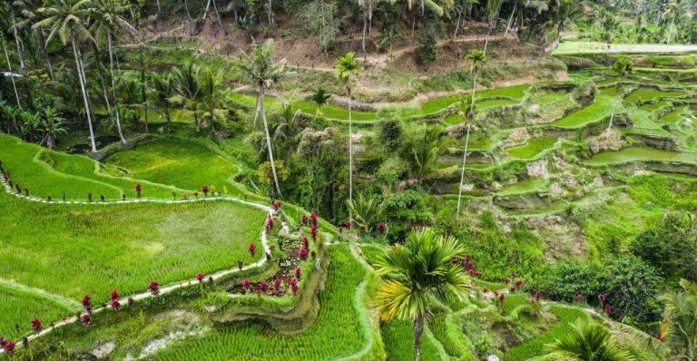 1658379997-product_image-21-07-2022-0daFGZEKfX6IeW3R